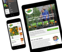 Tangent media - web/video/mobile