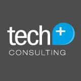 Tech plus consulting llc