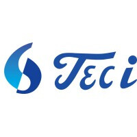 Tecs intl