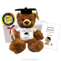 Teddy bear university preschl