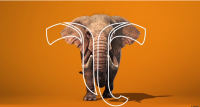 Tembo trading company