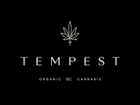 Tempest ux