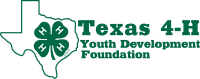 Texas 4 h youth development foundation