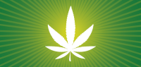 Marijuana leadership campaign