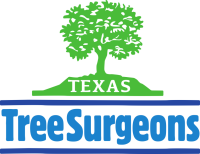Texas tree care