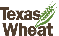 Texas wheat