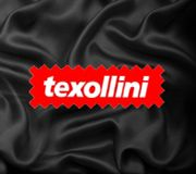 Texollini, inc.
