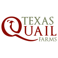 Texas quail farms, lp