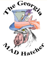 The georgia mad hatcher