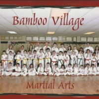 Bamboo village martial arts
