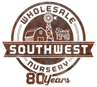 Souhwest Wholesale LLC