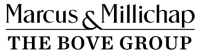 The bové group