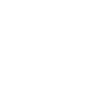 The business analysts nv