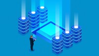 The database manager