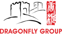 The dragonfly group, consultants to visionary non-profits
