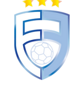 The futsal foundation