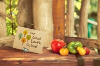 The good earth school