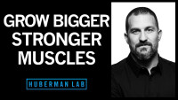 The huberman group