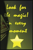 The magic in every moment