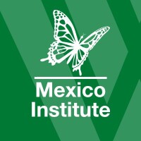 The mexico institute