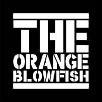The orangeblowfish