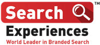 The search experience