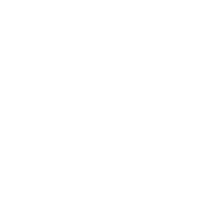 The sidekik