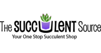 The succulent source