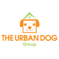 The urban dog