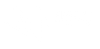 The vitality journey