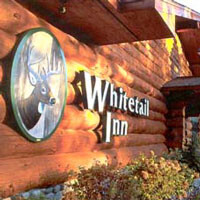 The whitetail inn