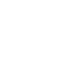 The wood floor company
