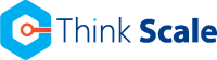 Think scale consulting