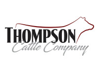Thompson cattle co
