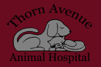 Thorn avenue animal hospital