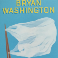 Brian washington enterprises