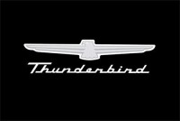 Thunderbird motors