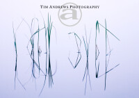 Tim andrews photography