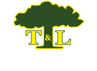 T and l landscapes