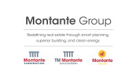 Tm montante development
