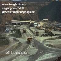 Shandong tongli chemical co ltd