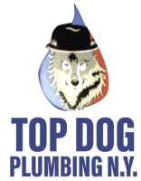 Top dog plumbing ny