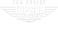 Top gun home solutions