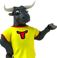 Toro insurance agency