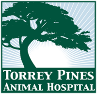 Torrey pines animal hospital, inc.