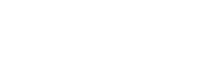 Toxicon srl