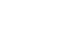 Next level performance, inc. (nlp)