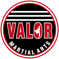 Valor martial arts academy