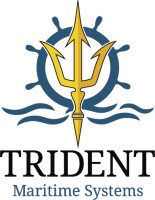 Trident marine group llc
