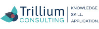 Trillium consulting group